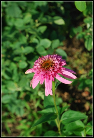 DSC_0022.JPG