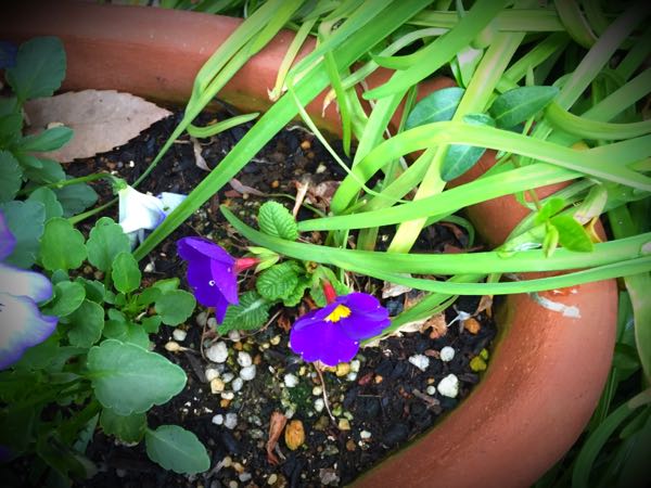 rblog-20160328170424-04.jpg