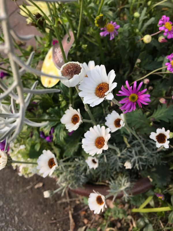 rblog-20190324173608-07.jpg