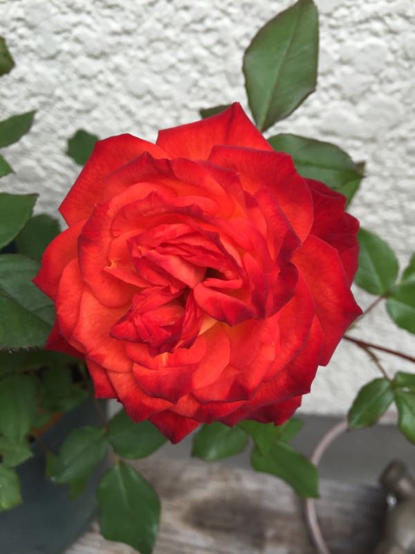rblog-20151212230547-01.jpg