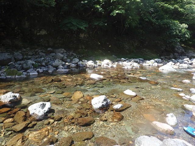 resize0022.jpg