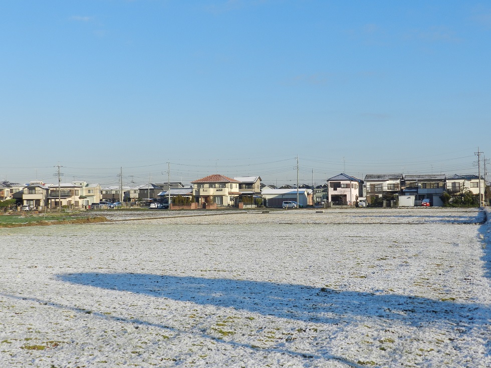 雪の朝