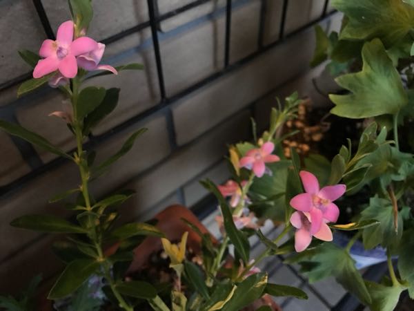 rblog-20181108170359-09.jpg