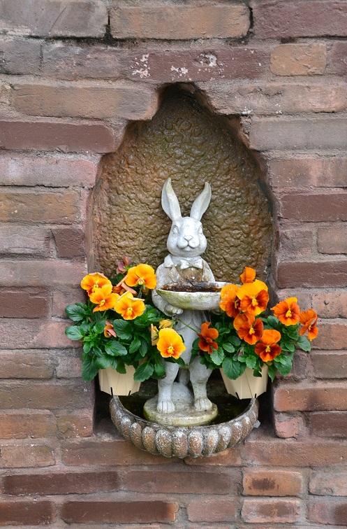 DSC_0408.JPG
