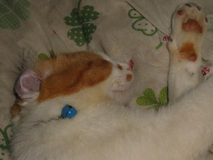DSC01558.JPG