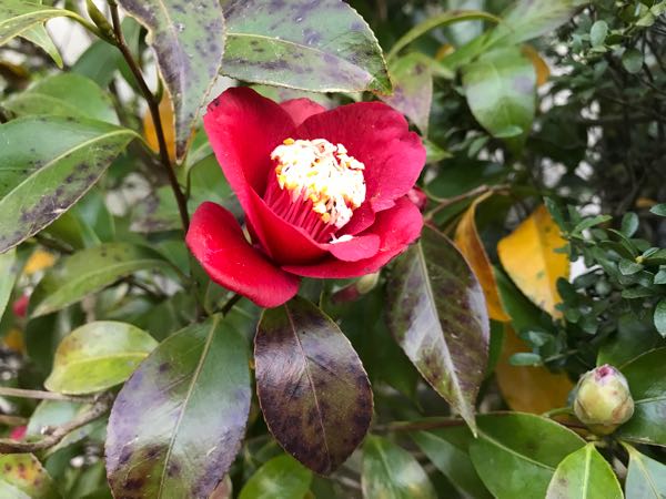 rblog-20180408181817-02.jpg