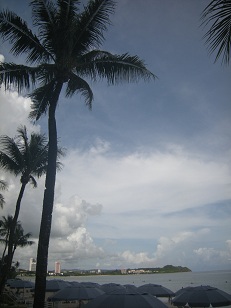 DSCN1553.JPG