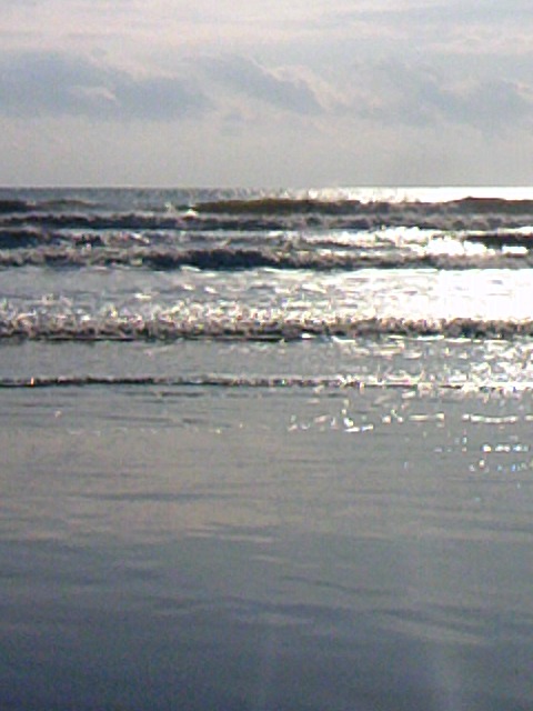 TS3Y0913.jpg