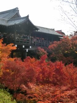 東福寺１