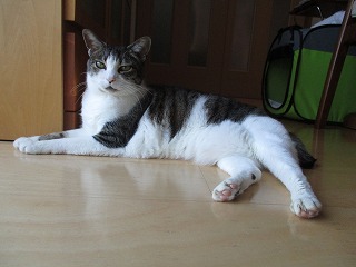 IMG_6781ss.jpg