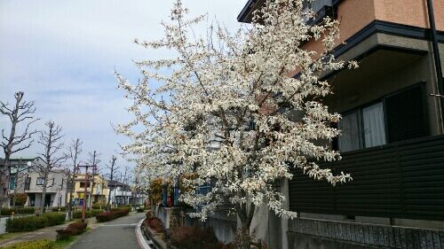 rblog-20160331212711-01.jpg