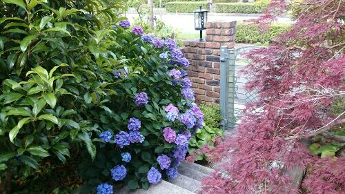 rblog-20160624145345-01.jpg