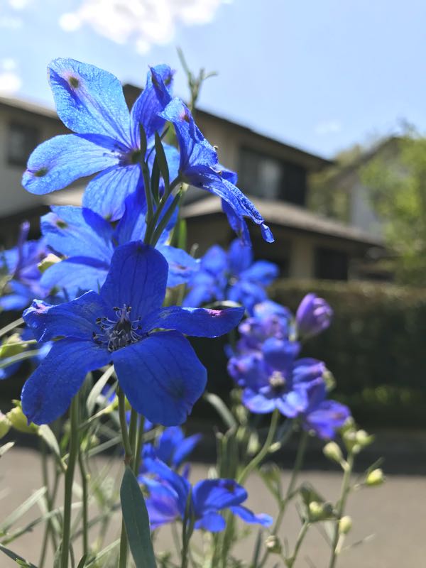 rblog-20180409192833-08.jpg