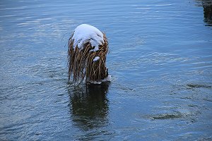 IMG_9967.jpg