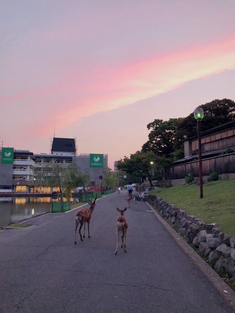 あともう少し よしだやスタッフブログ 楽天ブログ