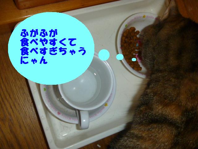 でじかめ 009.jpg
