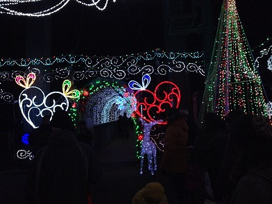 miyagase illumination11