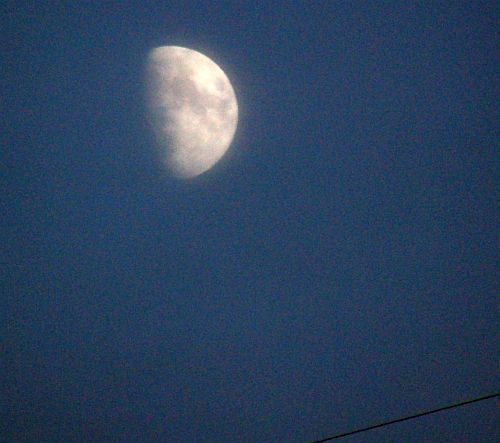 夕方の曇り空に月が 二代目館長日記 楽天ブログ