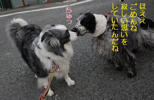 ちゅ