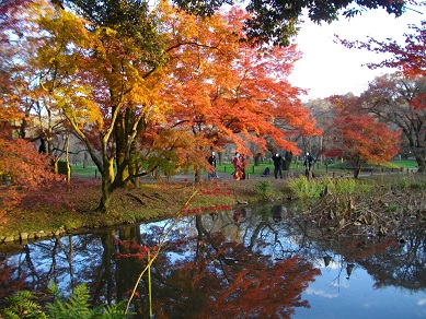 京都府立植物園