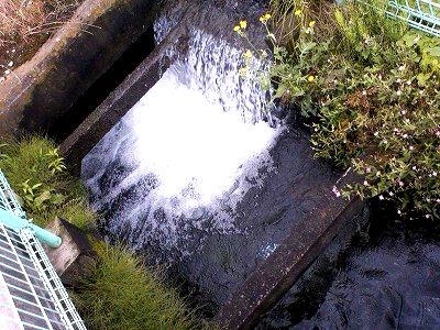 20120619 yousuiro2s-.jpg