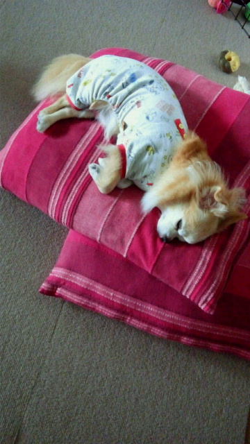 2012-10-22 16:46:54