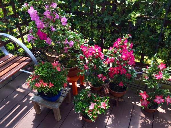 rblog-20160516073120-08.jpg