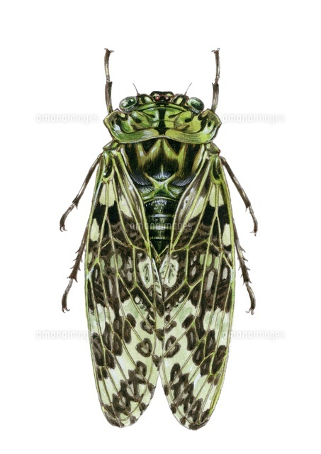 7-16 22276006669.jpg