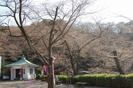 s-DSC_0003.jpg