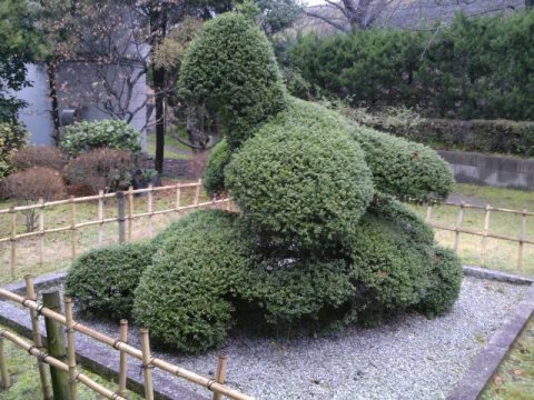 2012-03-18 15.13.17.jpg