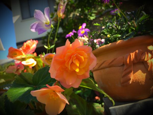rblog-20151025172611-04.jpg