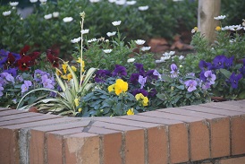 IMG_6481-9.jpg