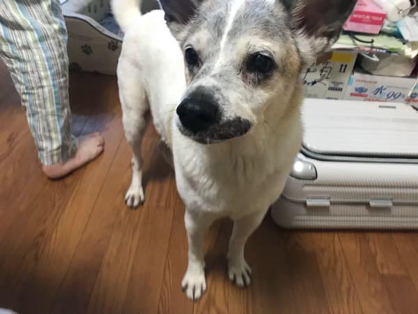 rblog-20181023131826-02.jpg