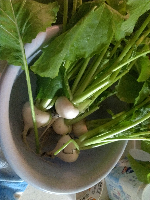 rblog-20131202181527-00.png