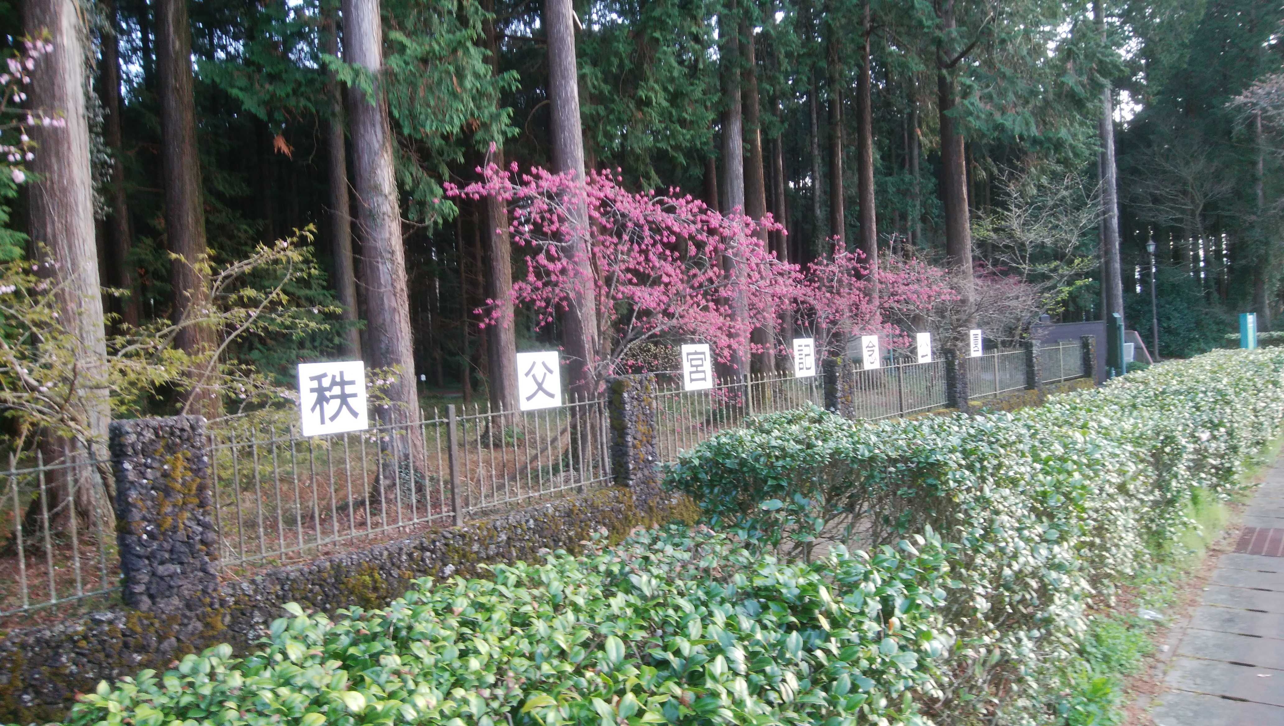 2ページ目の 御殿場情報 くれたけイン御殿場インター Gold Cabinのブログ 楽天ブログ