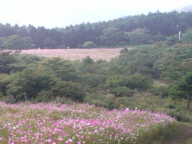2012-09-15 21:23:24