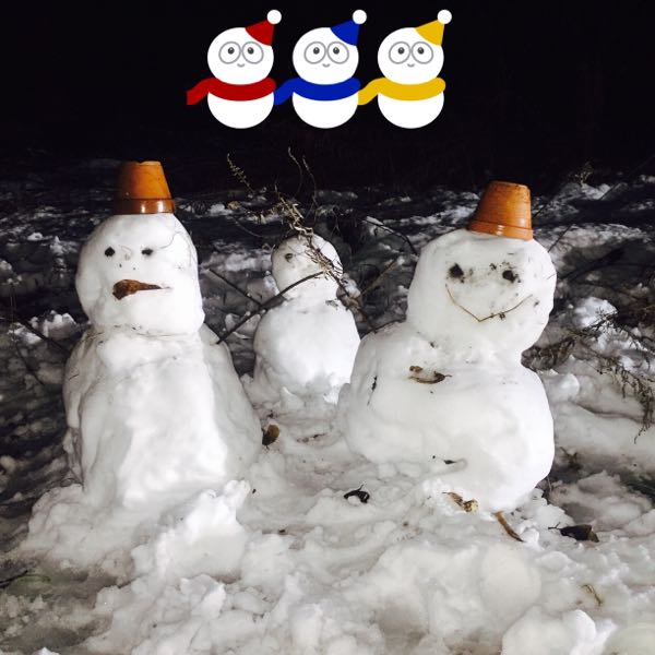rblog-20160119113853-02.jpg