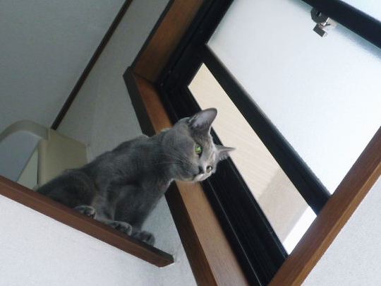 2014年11月07日_P1200932.jpg