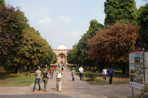 インド986.jpg