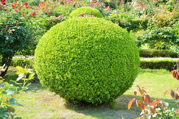 河津バガテル公園