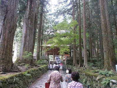 駒ヶ根　光前寺