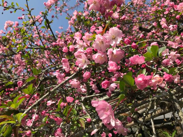 rblog-20180329182739-05.jpg