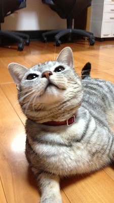 s-IMG_2034.jpg