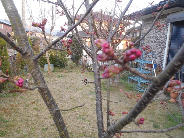 DSCN1694.JPG