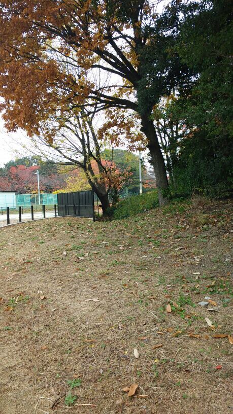 rblog-20171129133106-08.jpg