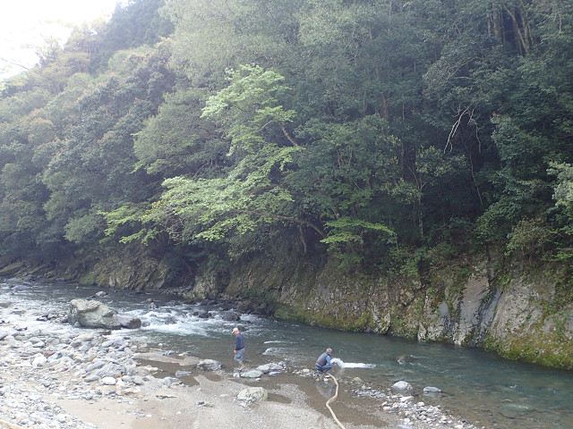 resize0009.jpg