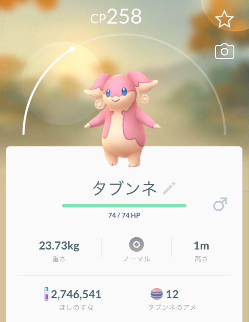 新ポケモン イベント とある虎キチ商社マンの 楽天ブログ