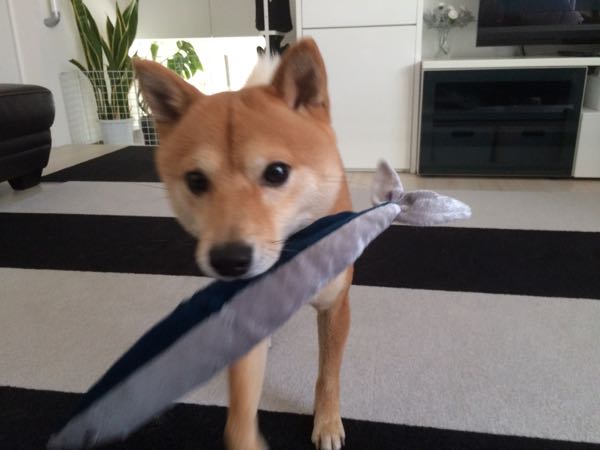 rblog-20160423102345-00.jpg