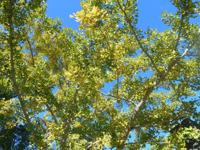 006 (640x480).jpg