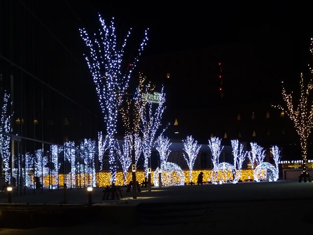 DSC09577_R.JPG